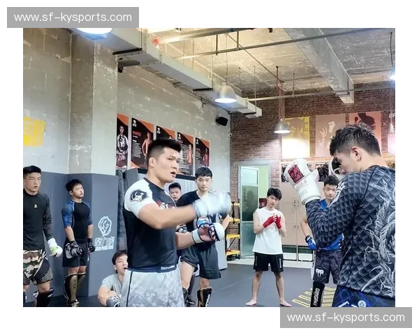 MMA综合格斗入口地址——走进激烈与激情的世界 MMA综合格斗入口地址——走进激烈与激情的世界